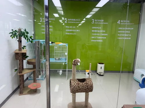 松山湖智能寵物用品暢銷全球，單品銷售額突破千萬元